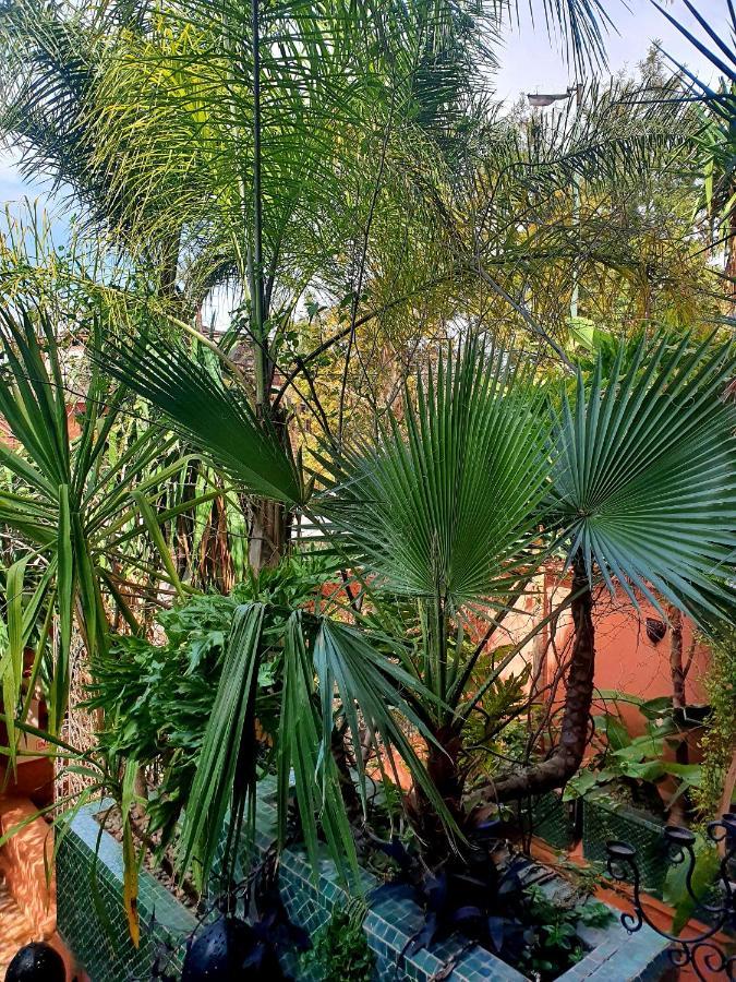 Villa Amira Et Spa Marrakesh Exterior photo